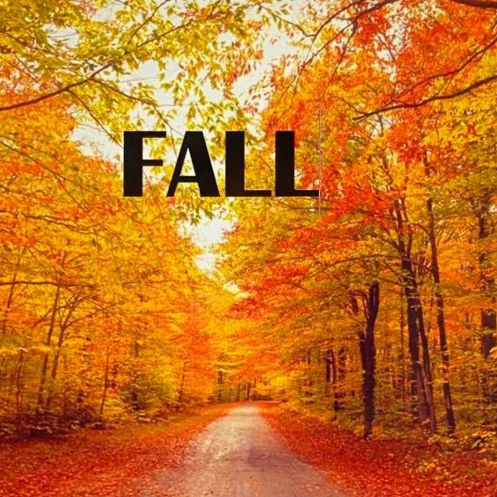 FALL Wear